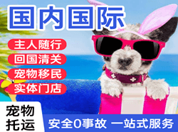 临汾尧都机场快运国际宠物托运 【国